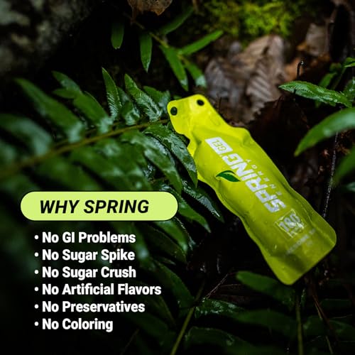 Image of Spring Energy Gel - Wholesome, Stomach Friendly, Vegan | Apple Cinnamon Sweet Potato | Awesome Sauce | No Rice Syrup. No Maltodextrin. No Preservatives
