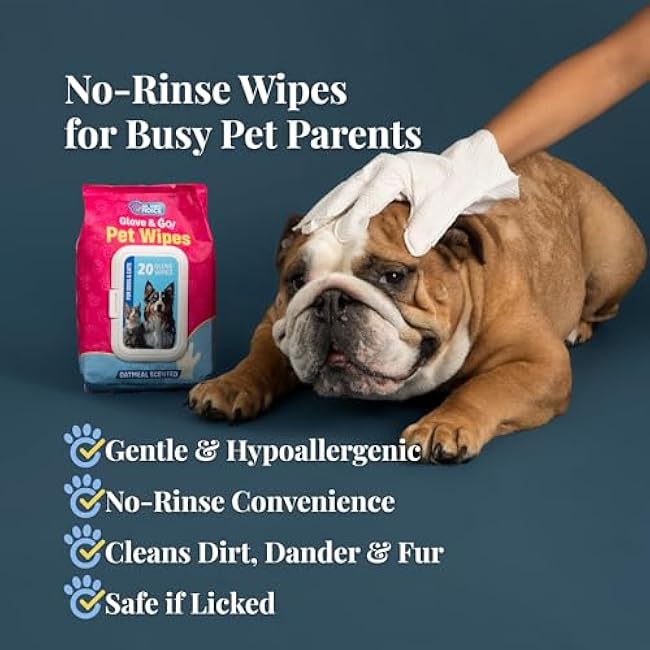 Dr. Paws Glove & Go Grooming Wipes for Dogs & Cats - Paraben Free, Alcohol Free, Lick-Safe, Hypoallergenic, Oatmeal Scented Dog Wipes for Paws and Butt, Puppy Wipes (20 Count)-6Xve92mG