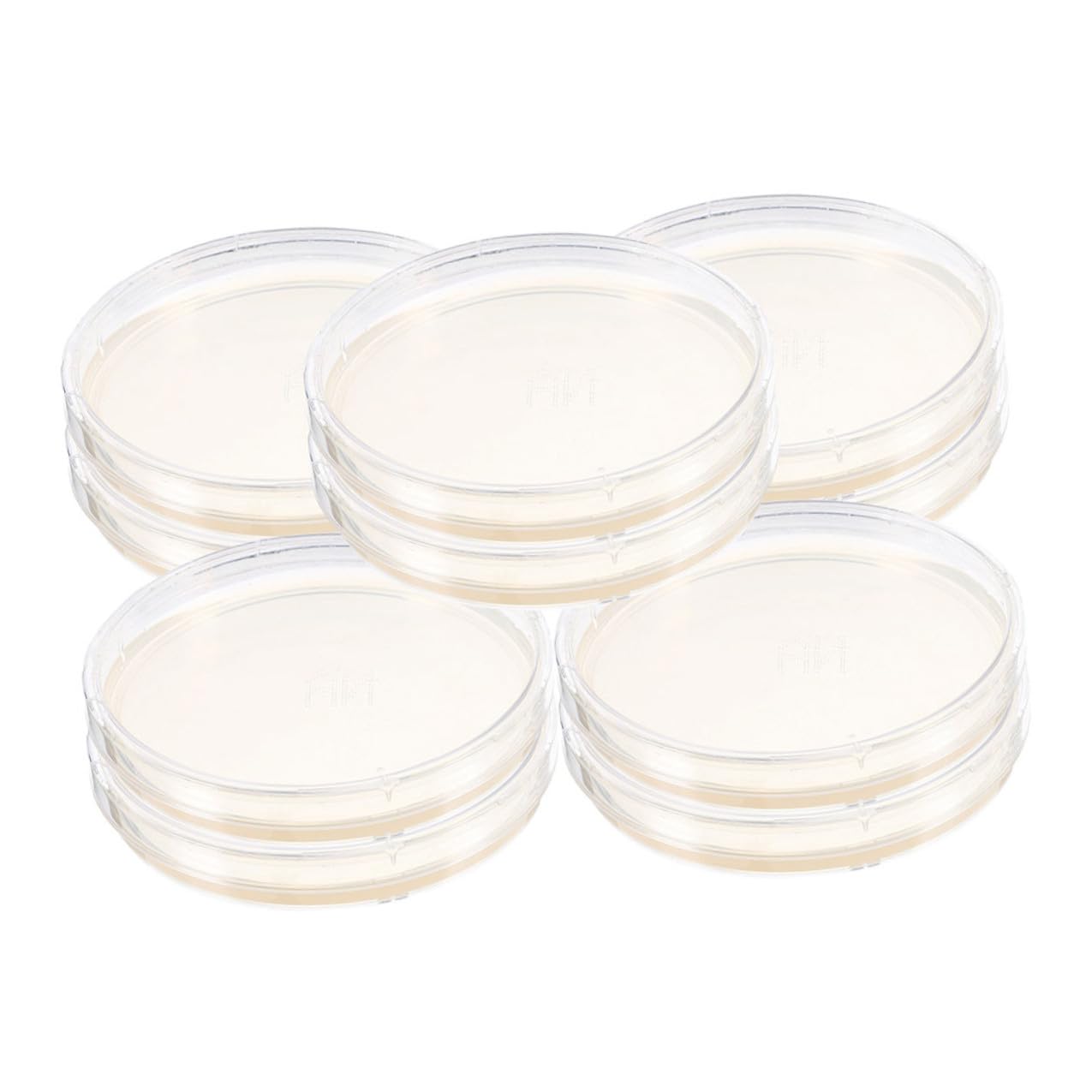 10pcs 6cm Nutrient Agar Petri Dishes Pre-Poured Round Plates for Microbiology Kit Laboratory Science Experiments and Cell Culture