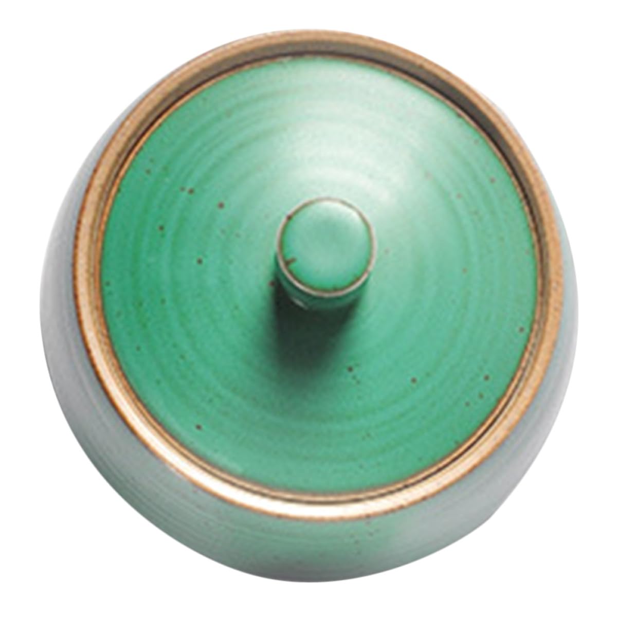 CANIGHT Tarro para Almacenamiento Multifuncional Vintage de Cerámica Sello Hermético Diseño Clásico Único, Adecuado para Oficina y Hogar
