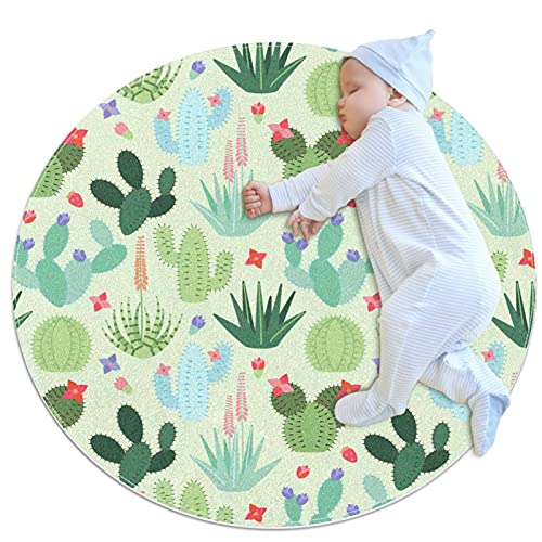 多肉植物 玄関 インテリアの人気商品 通販 価格比較 価格 Com