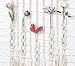 23 Bees, Macrame Wall Hangings Test Tube Vase, Hanging Plastic Flower Container, Boho Fringe Decor Planter for Bedroom, Woven Crochet Rope Art Tapestry Decorations for Room