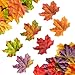 Single leaves- Fall Assortment pkg.