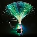 DGLIANYA Fiber Optic Lamp Color-Changing USB or Battery Powered Fairy Decoration Night Lights Mood Novelty Lamps for Bedroom Parties Weddings?Without Remote Control?