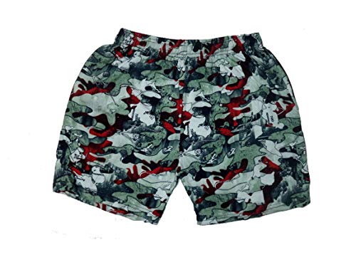 Image of Boys Pure Cotton Printed Shorts /Boxers(Pack of 1)