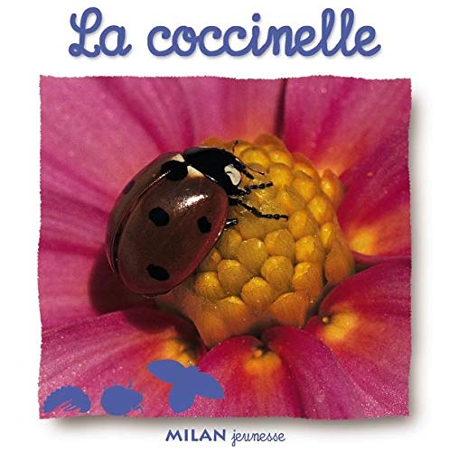 Coccinelle (la)