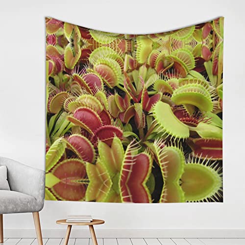 Tapisserie murale plantes carnivores pour creer un decor de chambre etudiant