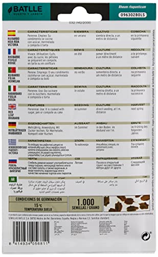 Batlle kruidenzaden - rabarber rood Victoria (zaden - 40-60cm) - Image 3