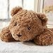 IFX24 Large Weighted Teddy Bear Stuffed Animal 27.5