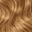 Golden Dark Blonde
