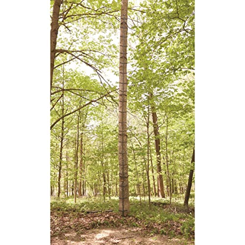 Guide Gear Full Step Climbing Stick Ladder for Tree Stands, Deer Hunting Gear and Accessories, Full Step, 25’ - Thumbnail 6