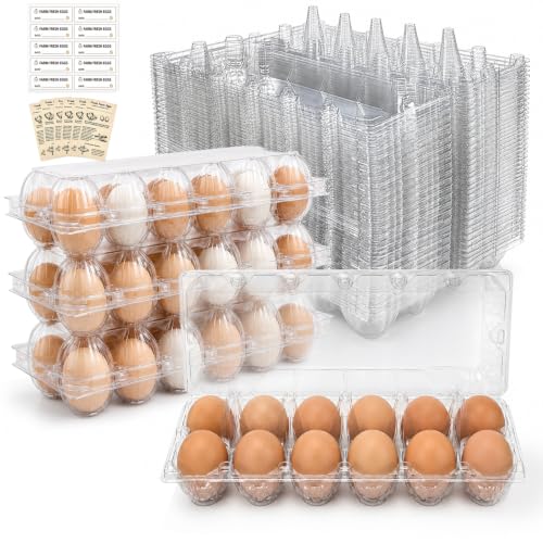 WIKDAY Dozen Egg Cartons Cheap Bulk 60 Pack 12 Count Plastic Clear