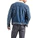 Levi's Type 3 Chaqueta Vaquera, Mayze Sherpa Trucker, M para Hombre