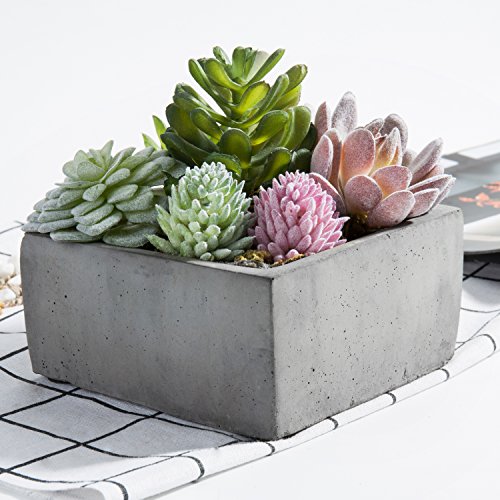 MyGift Assorted Colorful Artificial Succulents in Grey Cement Pot #TOP20