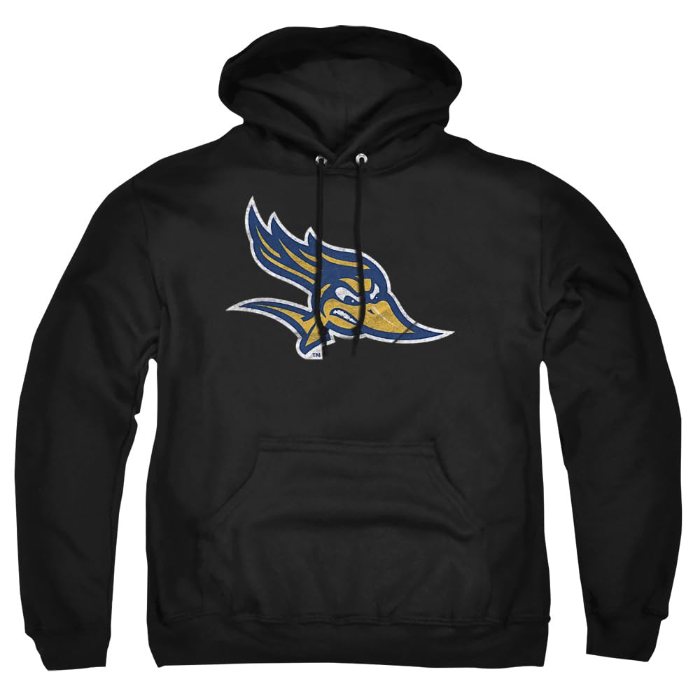 LOGOVISION Official Collegiate Distressed Primary Logo Adult Pullover Hoodie Collection — view 473