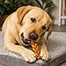 Pet Factory 7in Braided Beefhide Dog Chew Sticks with Peanut Butter Flavor - 100% USA Made Rawhide Chews for Medium Dogs, Long Lasting Dental Health, 7 inches (Pack of 6)
