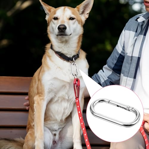 JIYIN 2 Stück Oval Spring karabinerhaken groβ, 4cm Silber Metall Ringkarabiner Karabinerhaken Schlüsselring Spring Buckle Clip Schlüsselanhänger für DIY Geldbörsen Schlüsselkette Rucksack