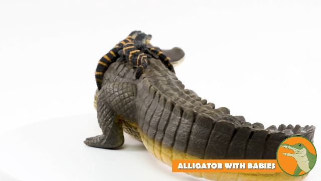 Amazon.com: Safari Ltd. Alligator with Babies Figurine - Detailed
