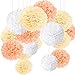 Produktbild 15er Set Pompoms Deko Bunt Seidenpapier Pompons für Hochzeit, Geburtstag, Party Champagner Weiß (3pcs*30.5cm/6pcs*25cm/6pcs*15.5cm)