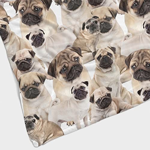 Grjirac Pug Throw Blanket For Home Living Room Decor,Christmas Soft Warm Blanket Gifts For Women Men Kids Multicolor 40X50Inch #TOP2