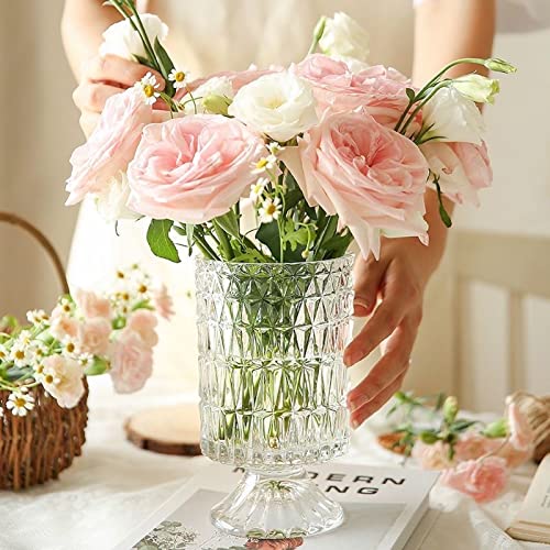 BLOFLO Florero de Cristal en Relieve, 18 cm, de Cristal, Pedestal con Base Grande, jarrón de Vidrio, jarrón Transparente hidropónico para el hogar, Oficina, Boda, Mesa de Comedor y Fiesta (patrón de