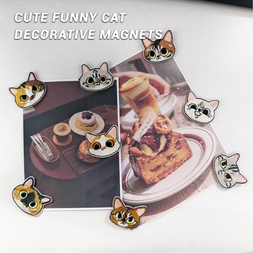 8 imanes decorativos de gato para refrigerador miniatura 5