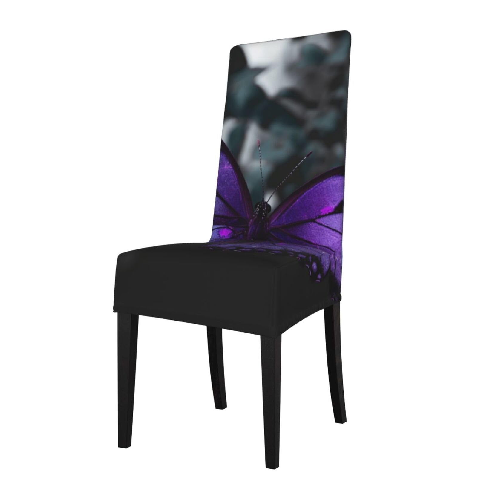 WPKJU Butterfly Art Print Dining Chair Covers Removable Chair Seat Covers Decorative for Kitchen & Bar Stools