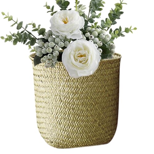 ҂܂ꂽ[oXPbg - k̈ߗޗp܂肽ݎI[KiCU[r | IAN[[bgAsNjbNp̑fpȊCDrp̓VR_ƃz_[