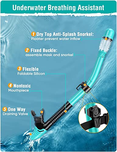 image for EMSINA Mask Fin Snorkel Set with Adult Snorkeling Gear, Panoramic View