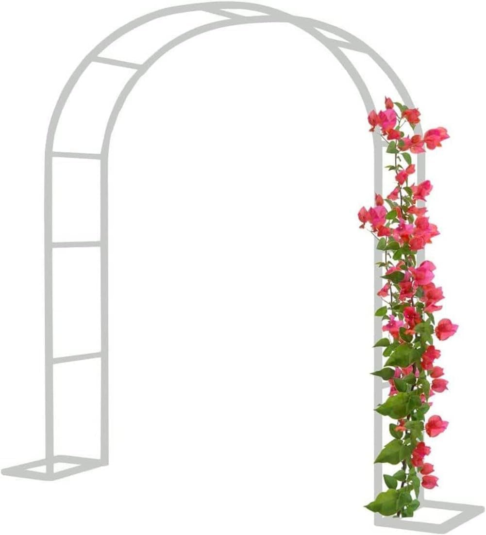 Arco da giardino in metallo resistente, grande telaio in acciaio resistente alle intemperie, pergolato per piante rampicanti, rose e frutta, supporto per interni ed esterni