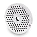 TSM #10/12 Stainless Steel Meat Grinder Plate (3/16")