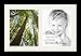ArtToFrames Collage Photo Frame Single Mat with 2 - 8x10 Openings with Satin Black Frame and Super White mat.