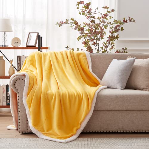 (60 OFF) Sherpa Throw Blanket 19.19 Coupon Code