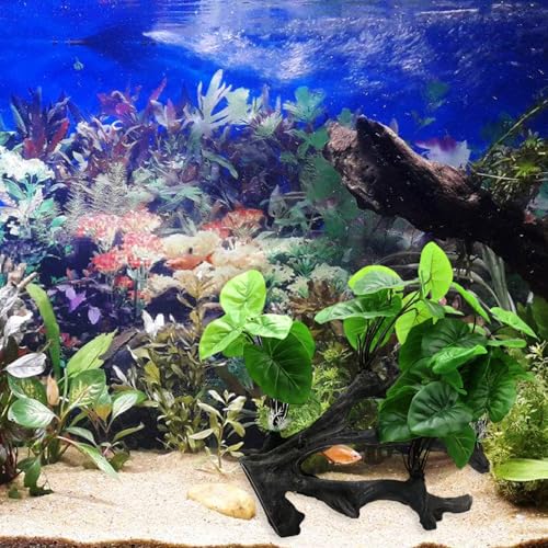 Plante artificielle pour aquarium évitant les algues sur bois flotté stable - 5