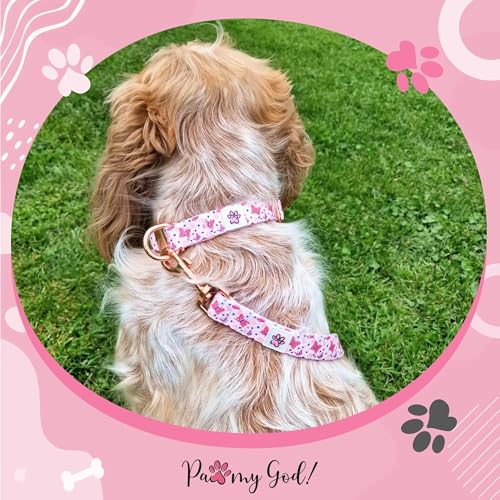 Collier souple pour chien rose motif fleurs papillons Paw My God taille M