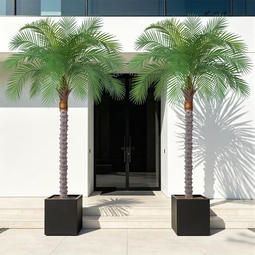 Image of 6ft Artificial Phoenix Palm Tree, Faux Coconut Silk Tropical Fake Palm Plant for Indoor Outdoor Home Office Patio Bathroom Pool Coastal Decor(Set of 2)