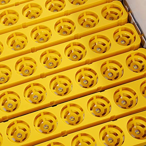 Eierbrutgeräte, 56 Automatische Hühnerei Brutmaschine Hühner Enten Eier Beobachtung Geflügelbrutkasten für Ente Hühner… – Bild 4