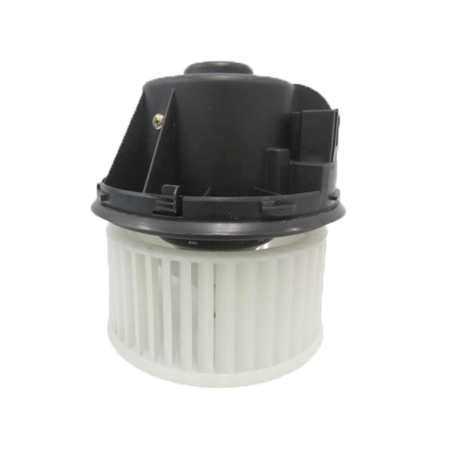 TYC 700272 Compatible with Ford Replacement Blower Assembly