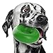 Goughnuts Guaranteed Indestructible Dog Toy, Original