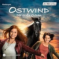 Algopix Similar Product 1 - Der große Orkan: Ostwind 5