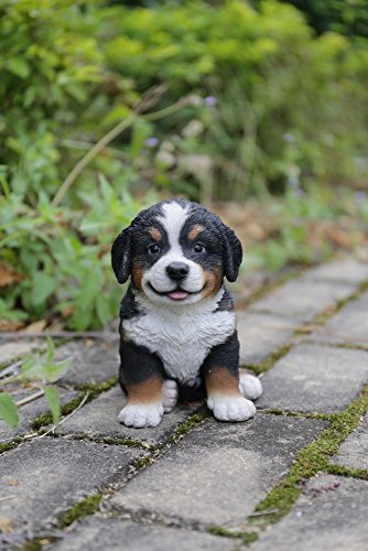 Estatua cachorro de perro Bernese Mountain Dog miniatura 3