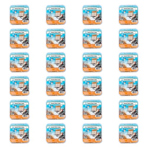 BestNest 24 Pack Pine Tree Farms Insect Suet Cakes, 12