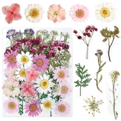Cleminsta Fiori Pressati Secchi Multicolori, Veri Fiori Secchi per Candele e Decorazioni, Fiore Secco Compresso Naturale per Bellezza Creativa, Progetti Artistici, Scrapbooking, Resina (Rosa)