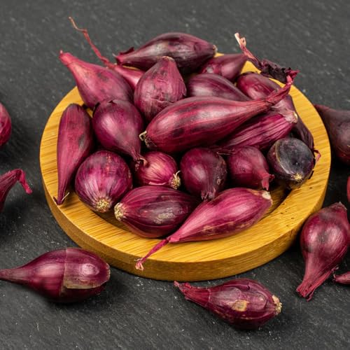 semillas - bulbos de cebolla para Balcón de invernadero, medicinales cebolla balcón, interior orgánicas, balcón 150pcs