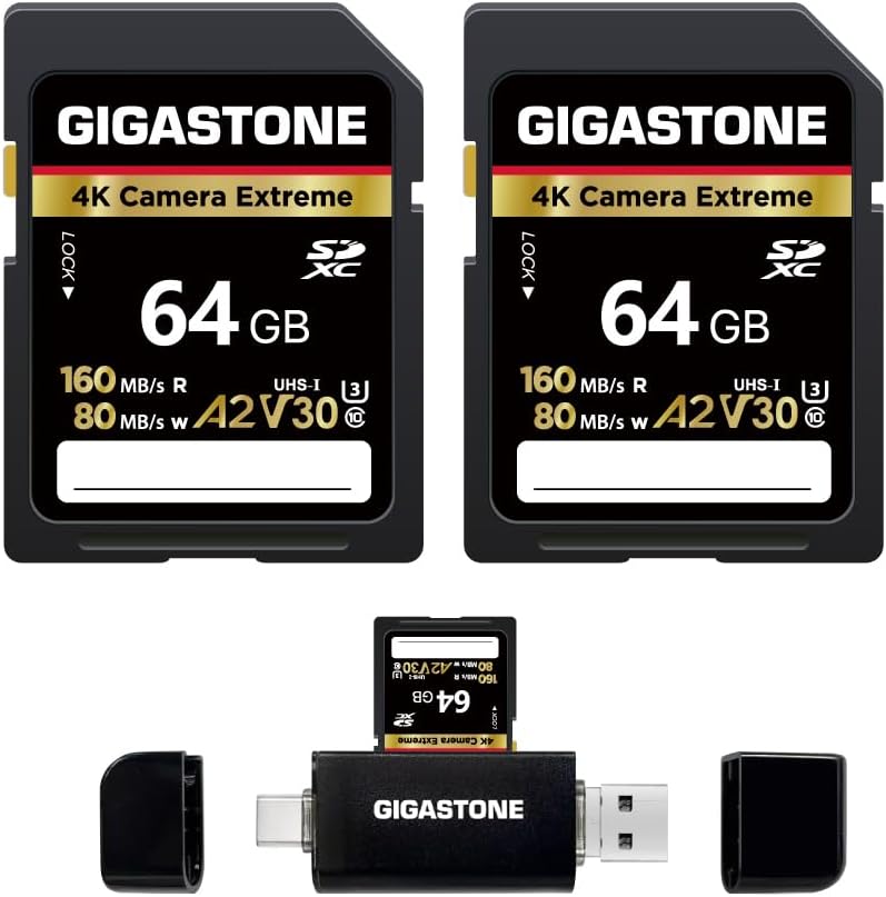 【5-Years Data Recovery】 GIGASTONE 64GB SD Card 2-Pack + USB C Card Reader