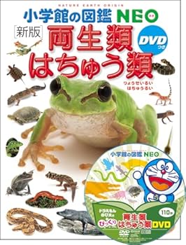 JP Oversized DVD? ?? ???·????? (?????? NEO) Book