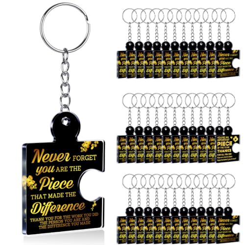 DRMNPKT 36 Pcs Team Appreciation Gifts Bulk for Coworker Keychains, Black