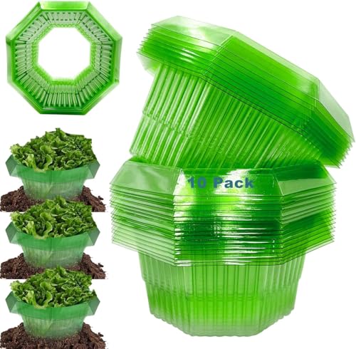 10 Colliers Protection Anti-escargots,Protections Anti-limaces,Protection Contre les Escargots,Protection contre les limaces et les escargots,Collier Anti limaces et Escargots,Fly Swats Tapette