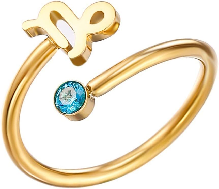Unisex Stainless Steel Simple 12 Constellation Adjustable Open Amulet Ring Zircon Inlay