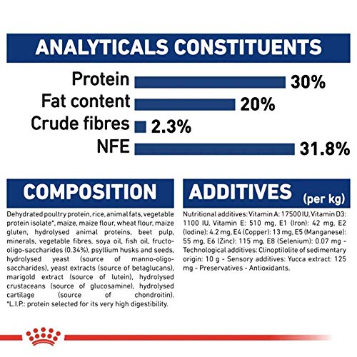 maxi junior active royal canin